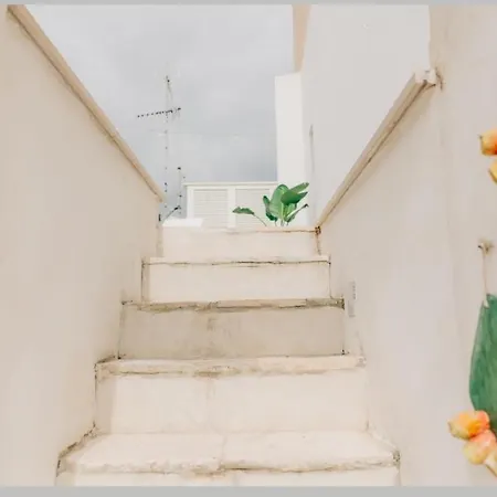 Nicolaus Wellness Experience *