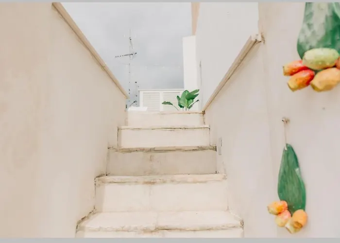 Nicolaus Wellness Experience *